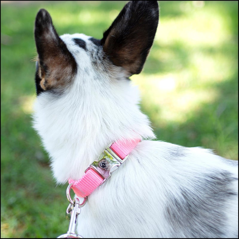 Country Brook Design Country Brook Petz - Premium Nylon Dog Collar with Metal Buckle for Small Medium Large Breeds - 10+ Warm Colors (Extra Large, 1 Inch, Pink) - Image 3